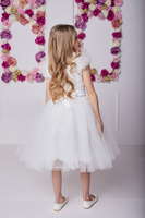 DRESS HEARTS WITH PETTICOAT