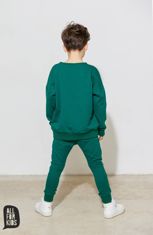 Cotton Team Wolf blouse