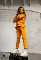Sweatshirt Team Wolf Toffi