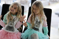 All for Kids-Rock Rosa