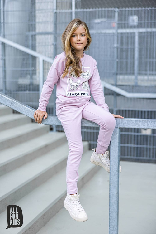 Bulldoggen Bluse